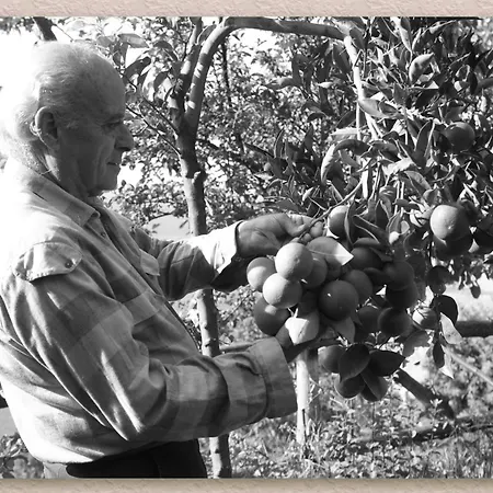 فندق مبيت وإفطار Ketty 4*