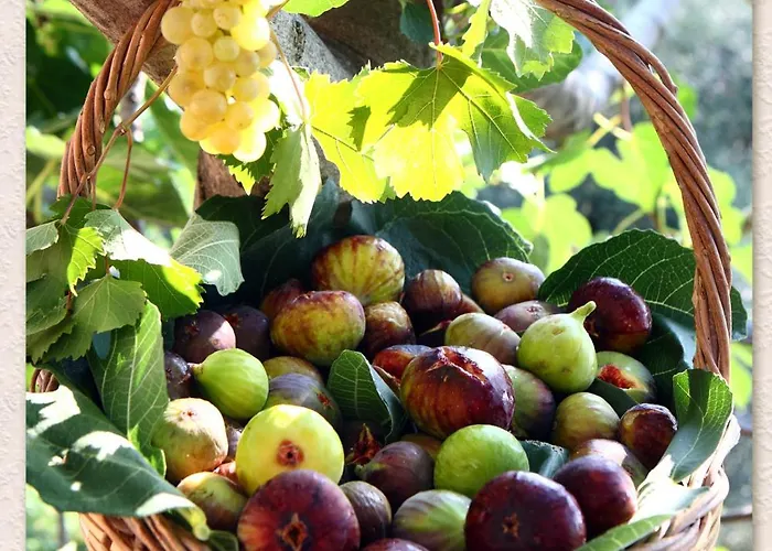 לינה וארוחת בוקר Ketty