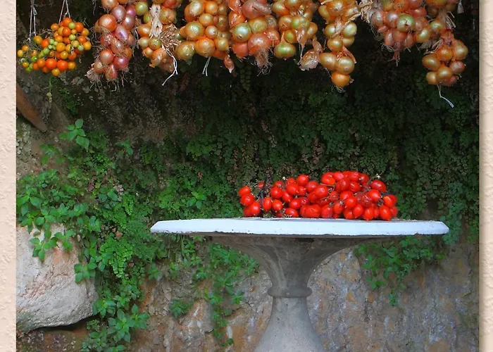 Ketty ויקו אקוונסה