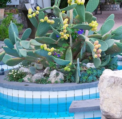 Ketty לינה וארוחת בוקר 4*