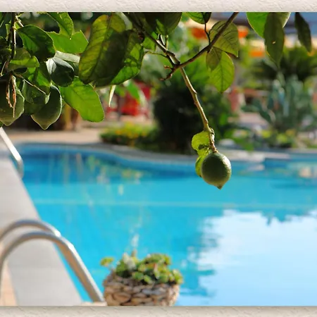 Bed & Breakfast Ketty Vico Equense