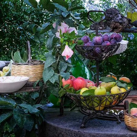 Ketty Bed & Breakfast Vico Equense